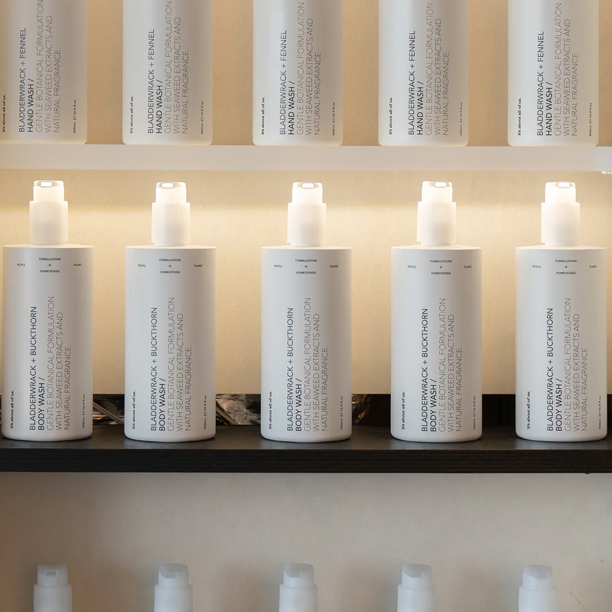 Bio+ Energiser Conditioner - Pack Size 6