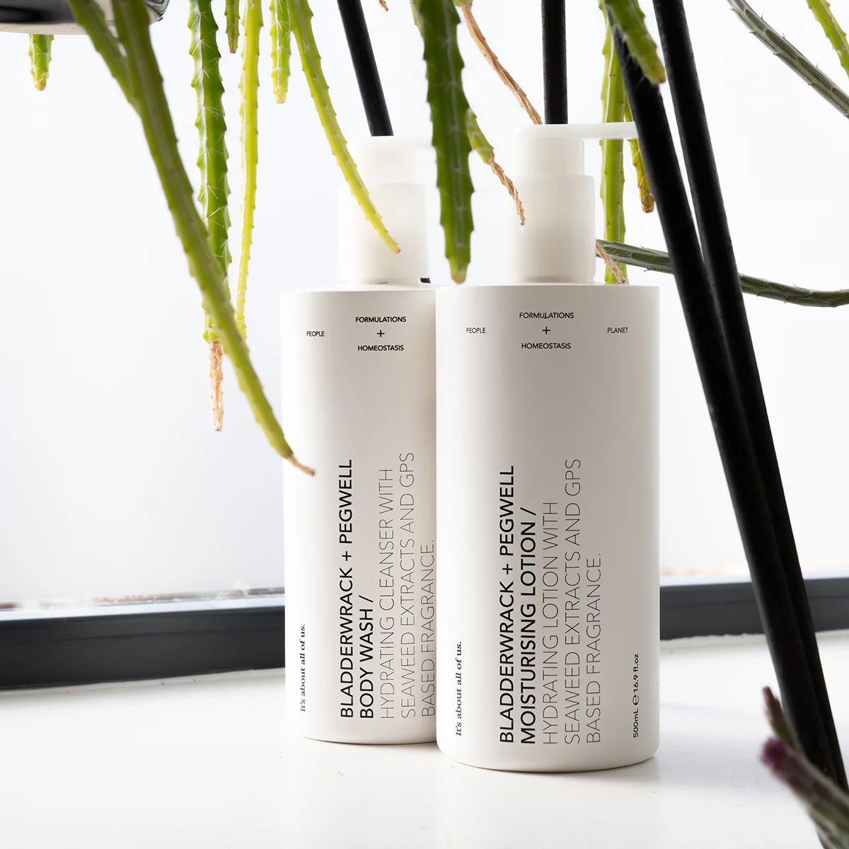Bladderwrack + Pegwell Body Wash - Pack Size 6