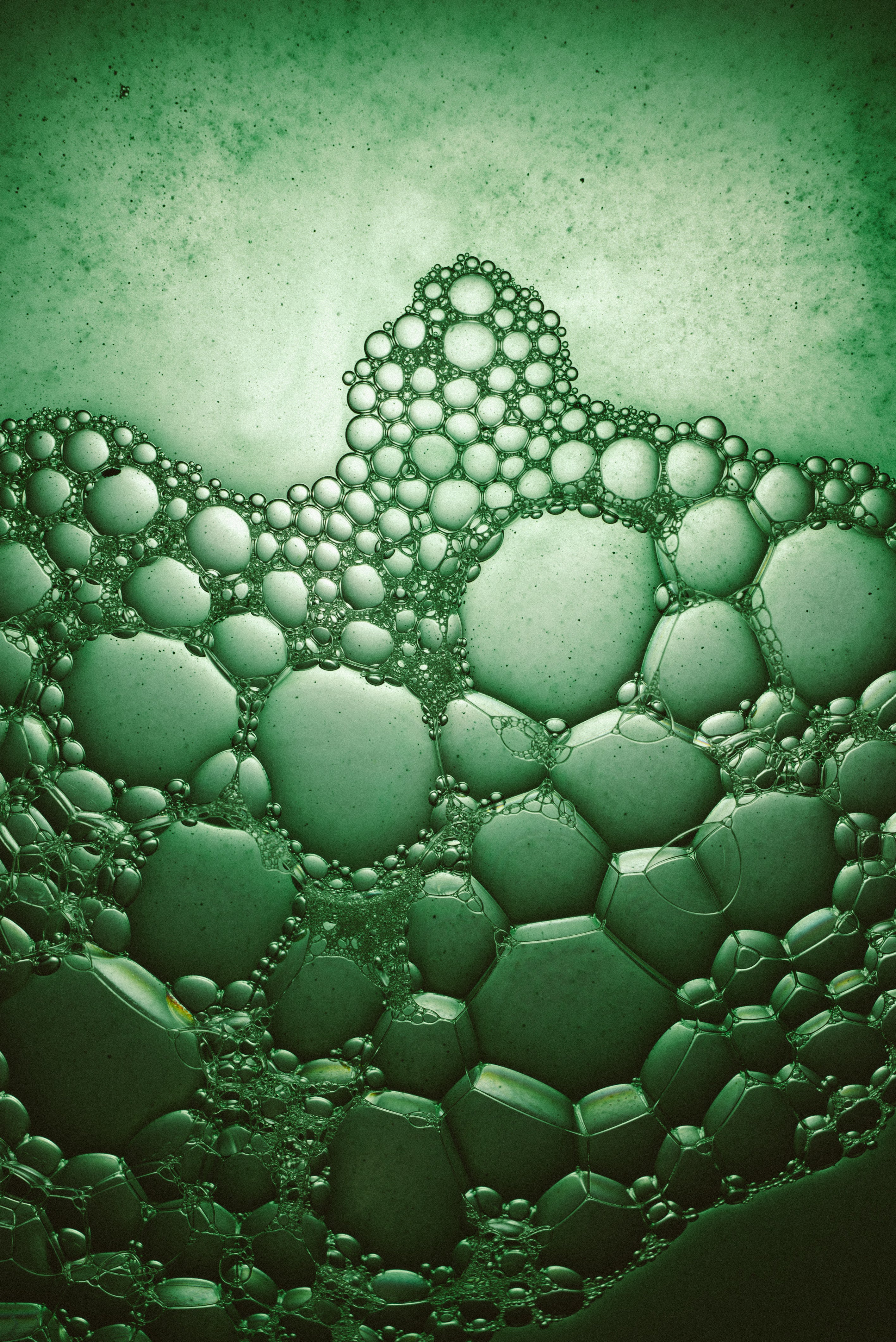 Spiraglow™ EGF Serum - Image 6